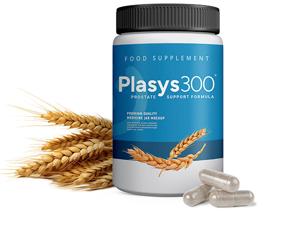 Bote Plasys300 nuevo redimensionado Bote Plasys300 nuevo redimensionado